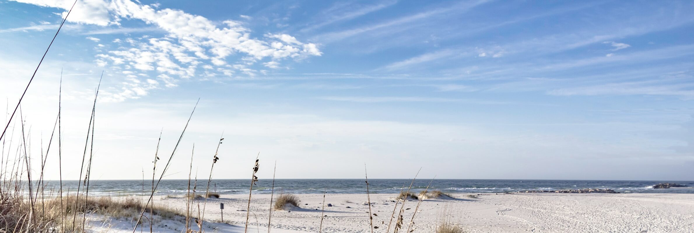 Sand dunes and coastal grasses in Brazoria County