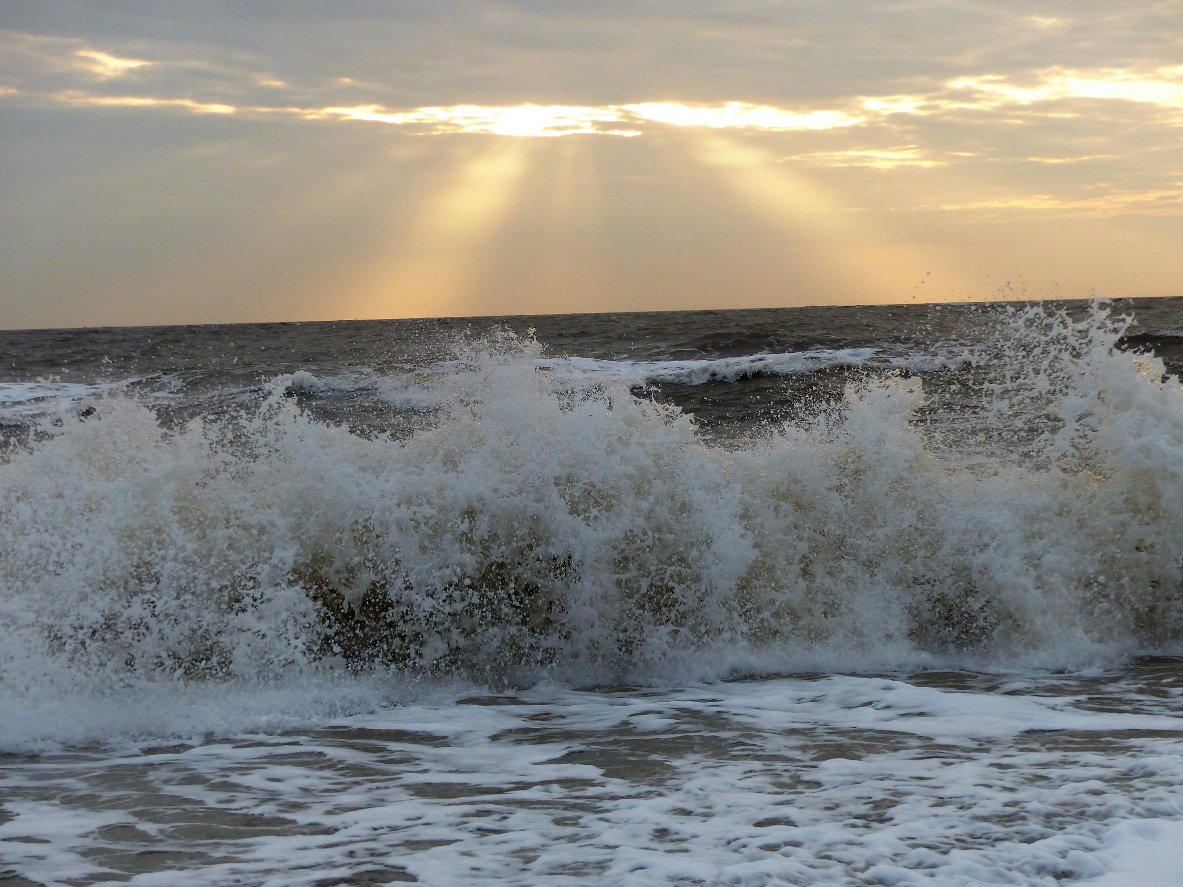 Breaking Gulf wave with sunlight